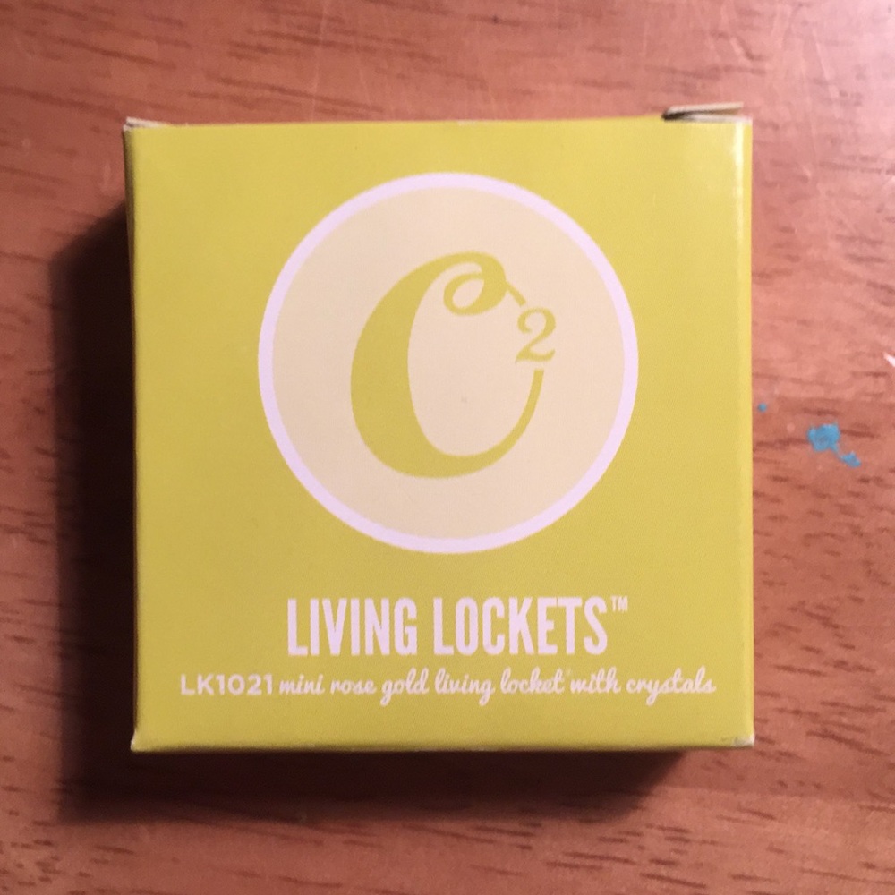 Origami Owl Rose Gold Mini Locket - Picture 3 of 4